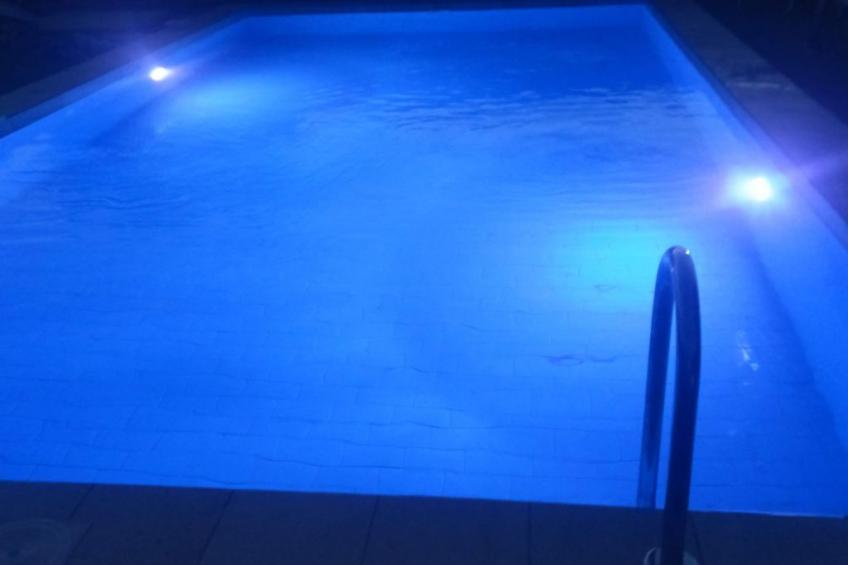 neben Orangenbaum-Obstgarten - foto 22