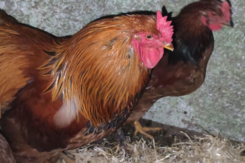 für 8 Personen - foto 47