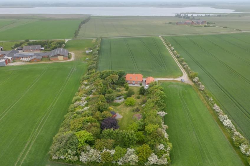 "Soria" - 600m to the inlet in Western Jutland - foto 4