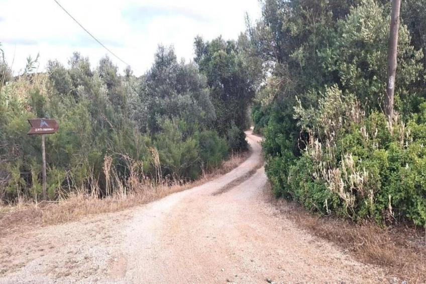 Dunas Douradas - foto 23