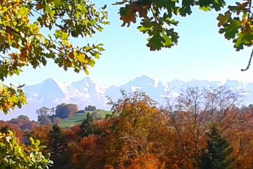 Gurtendörfli - foto 7