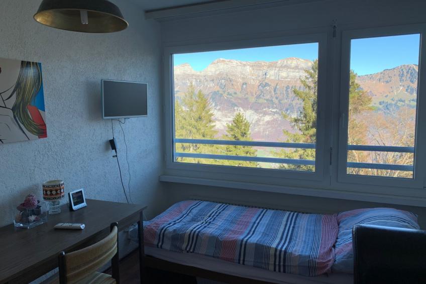 FLUMSERBERG TANNENHEIM - foto 16