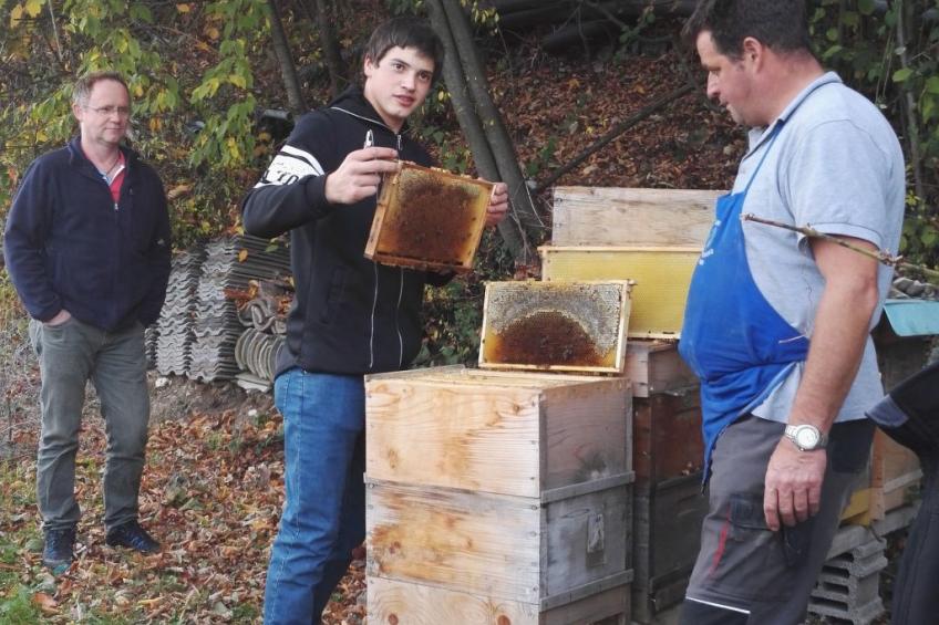 Gala+ Vernatsch - foto 28