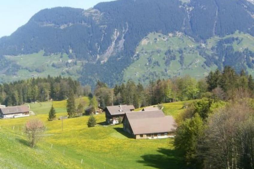 Ferien im grünen links - foto 18