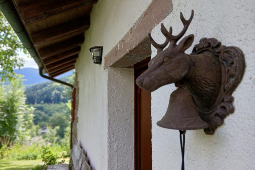 in Ventron mit eingezäuntem Garten - foto 24