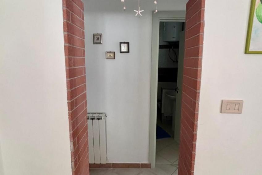 'The Garden - foto 13