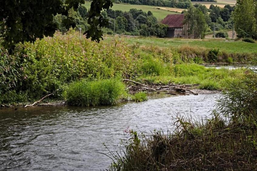 Am Ferienhof - foto 36