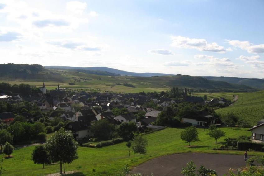 Ferienhaus der Saison an der Mosel - foto 23