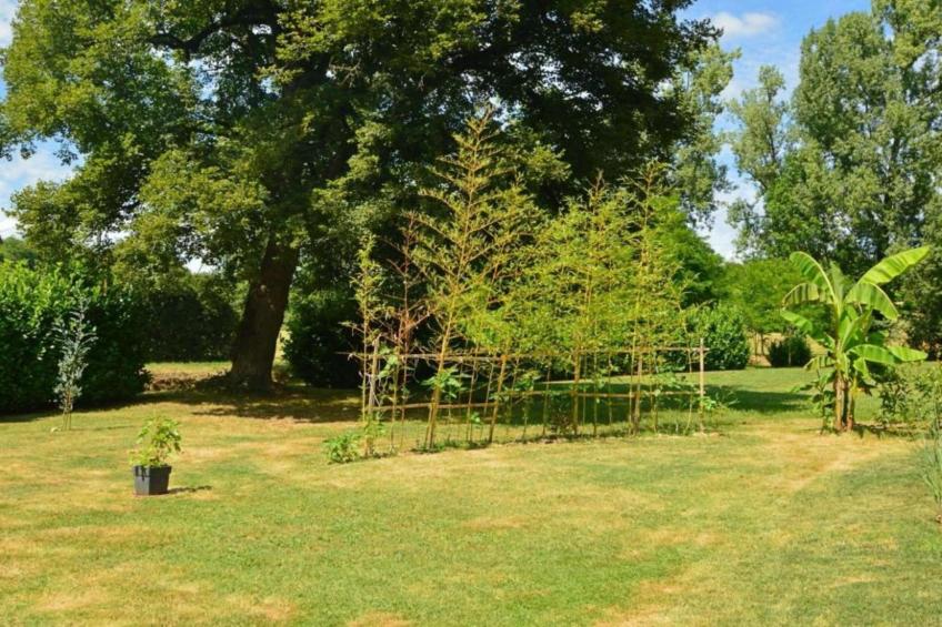 Le Bolet - foto 17
