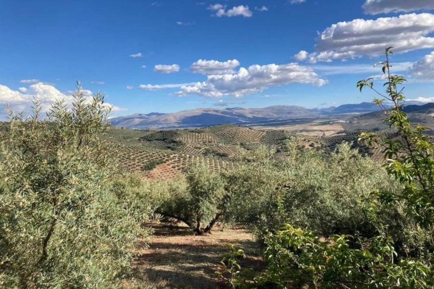 La Cocineta - foto 25