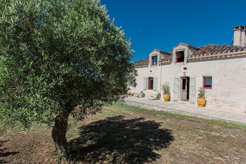 Les Artals - foto 33