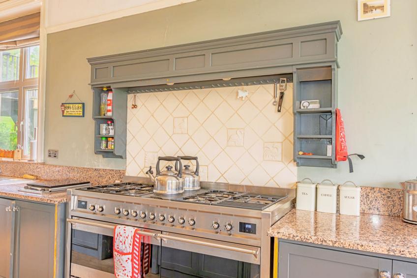 Evergreen Manor - foto 16