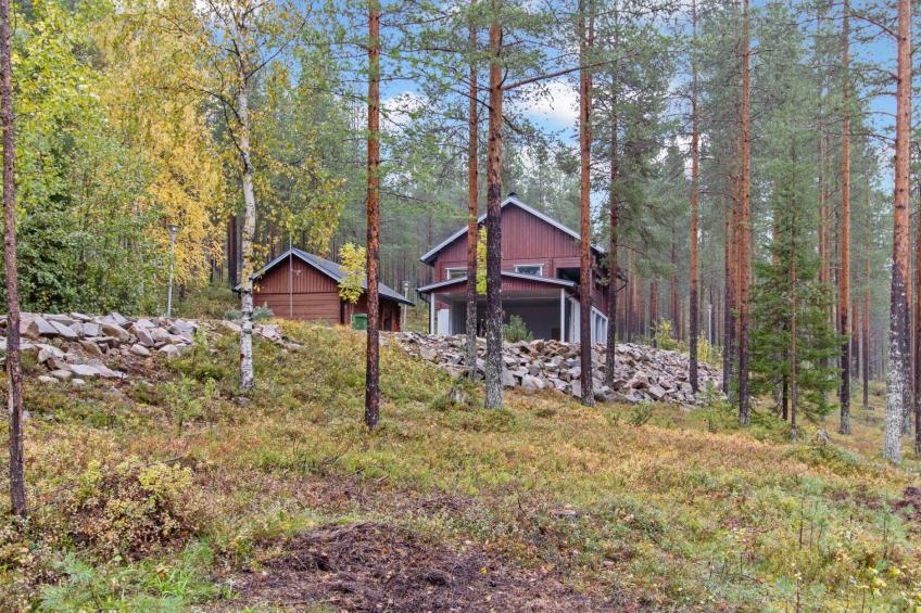 Villa uuttu