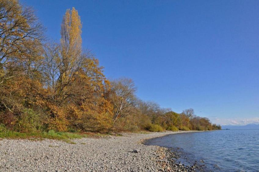 Ferienwohnung Markdorf - foto 38