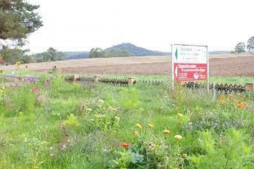 Gästehaus Kühne - foto 18