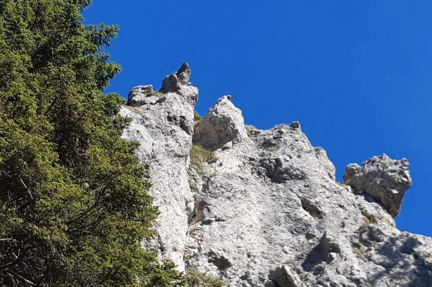 Gemütliche Ferienwohnung in Unterammergau - foto 11