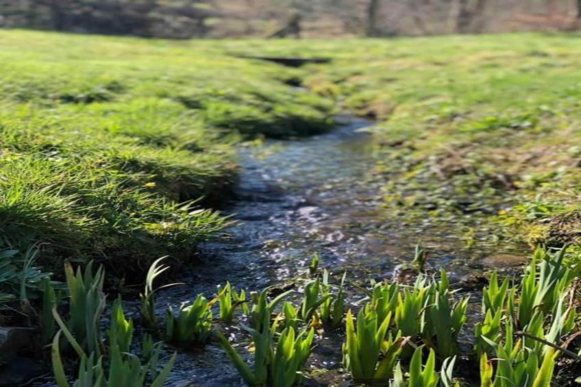 L'Alouette - foto 31