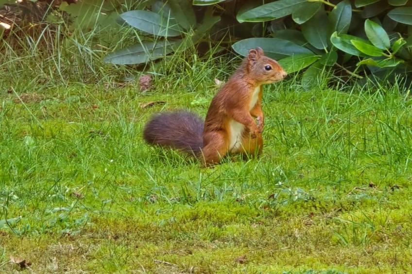 't Kokhuus - foto 21