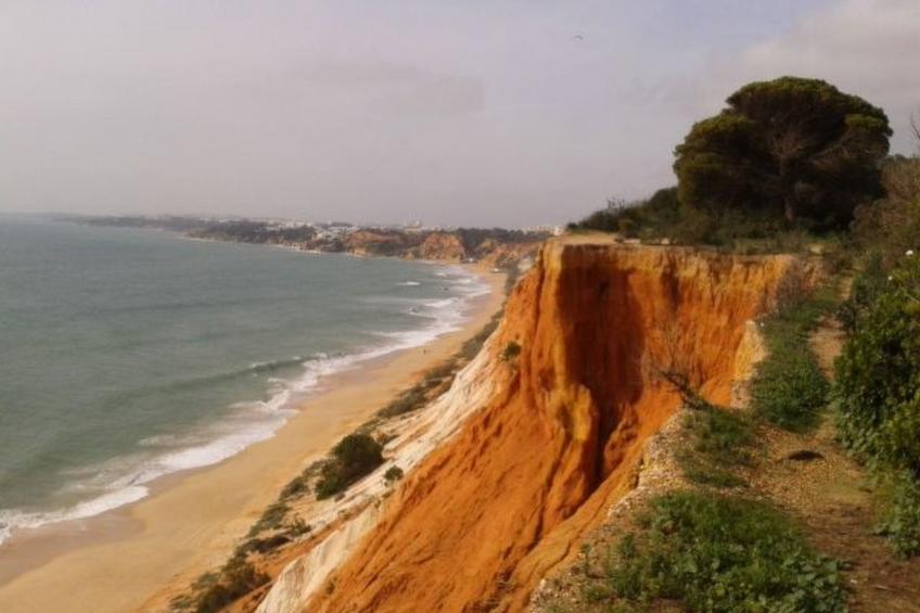 Pine Sun Park - foto 27