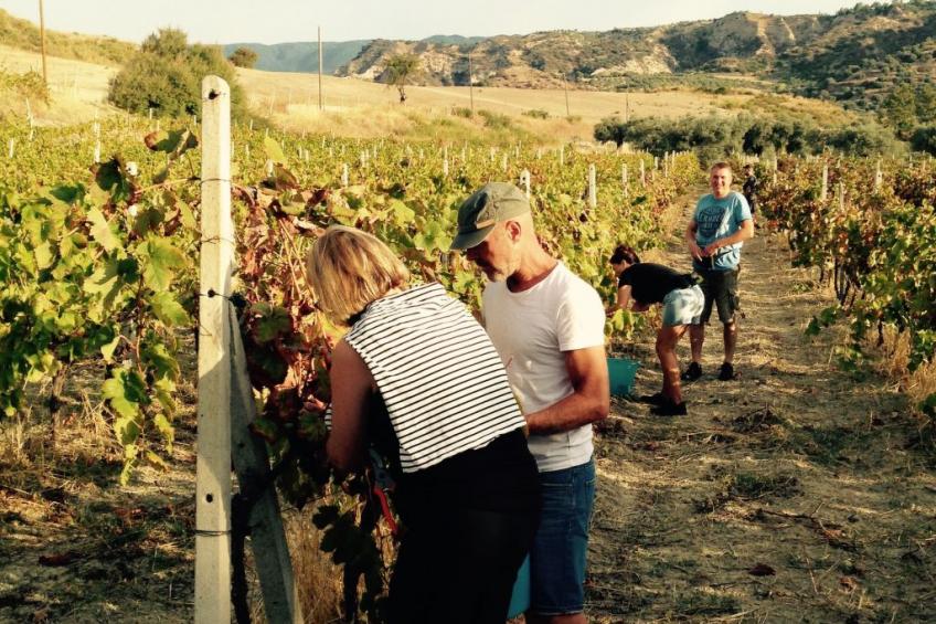 Tiche' Wohnung mit Wasserblick - foto 31