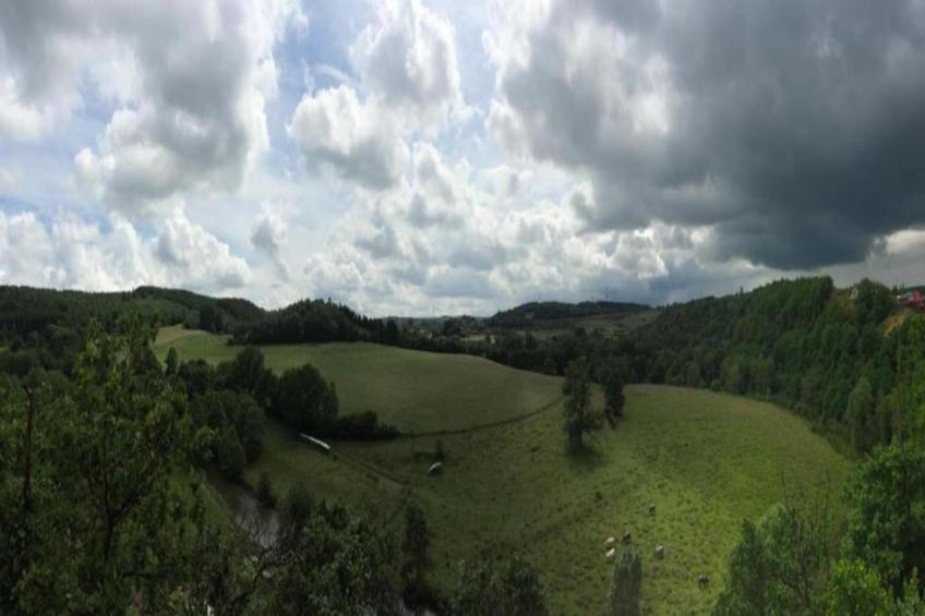 Aux Hirondelles - foto 30