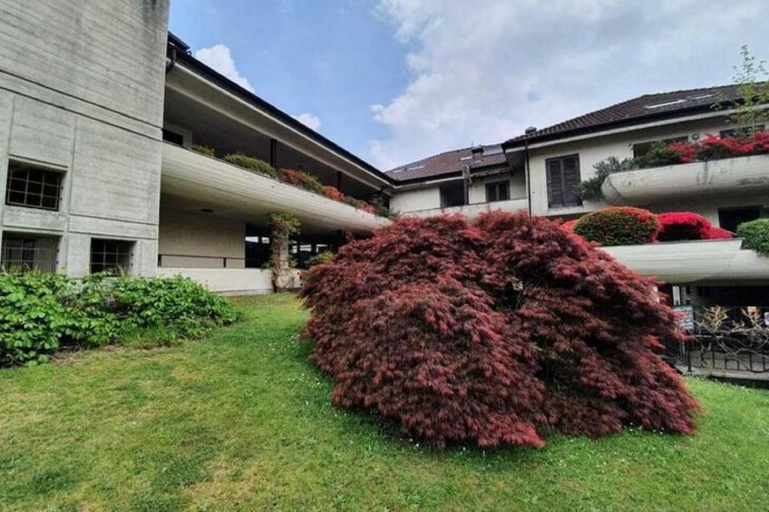 Van Gogh 2 - foto 18