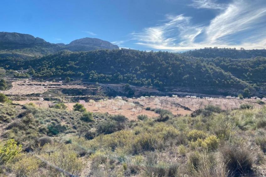 Villa Raprodet - foto 28