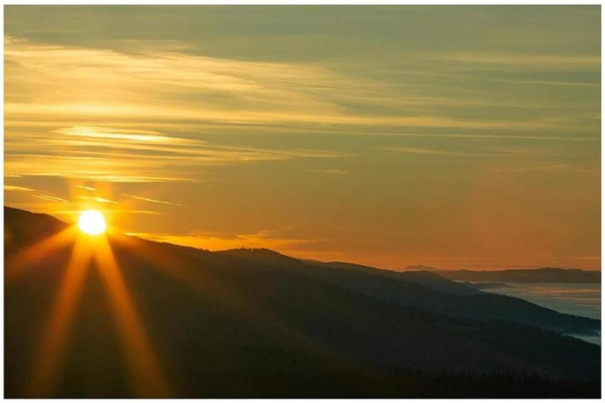Gästehaus Kandlbinder - foto 36