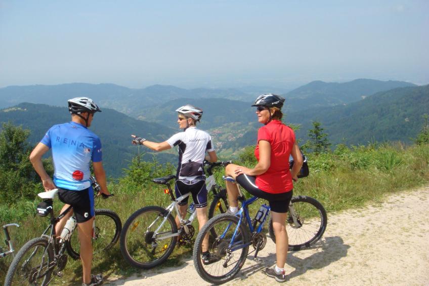 Alte Apotheke Nr. 1 -Offizin - foto 11