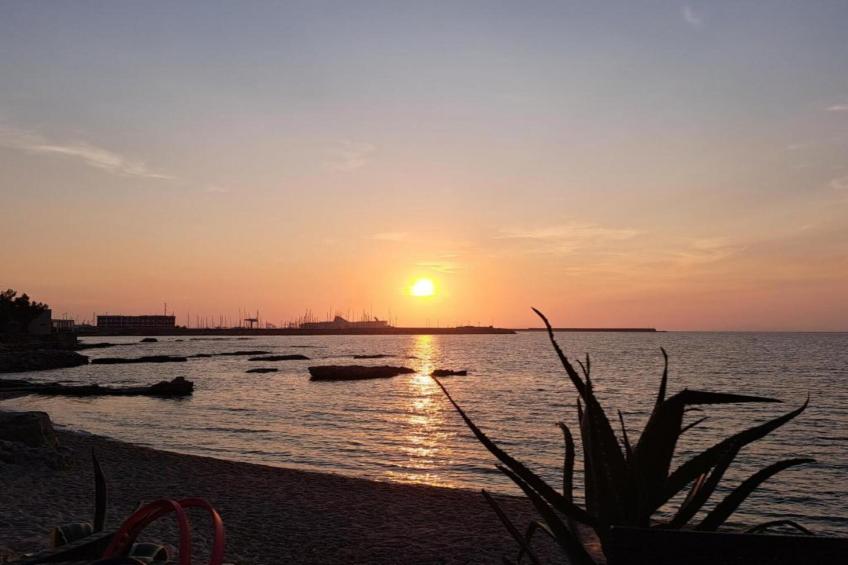 IL DELFINO - foto 24