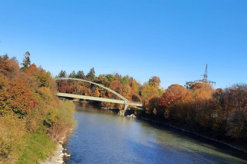 Fewo Rheinfeld - foto 8