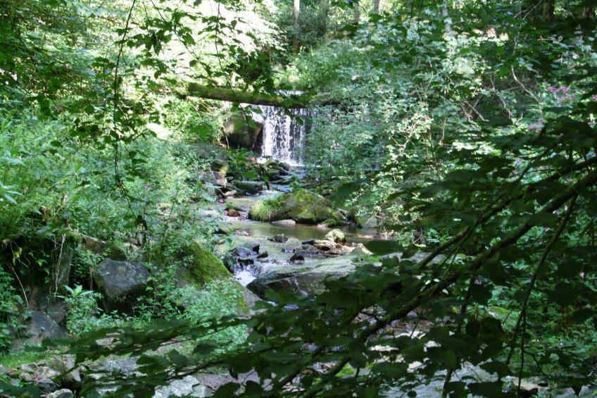 Örtl in Obernzell - foto 25