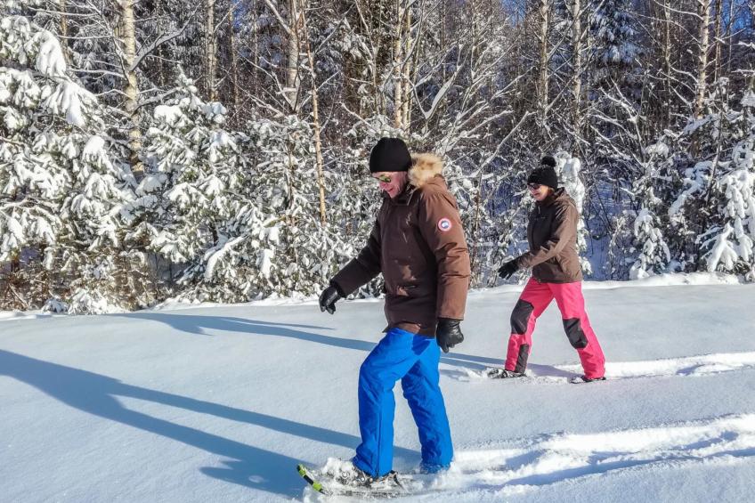 Kalliohonka - foto 14