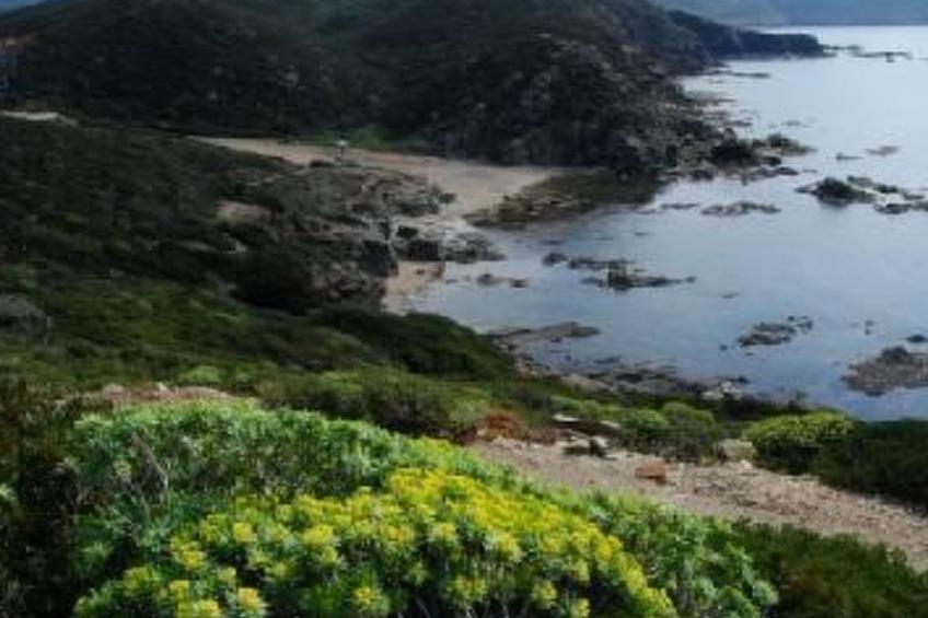 direkt am Wasser - foto 11