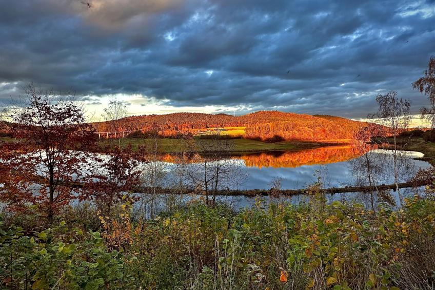 Feriendorf Seeblick - Tiny Nr 9 - foto 23