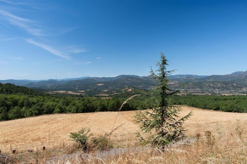 La Bergerie - foto 40
