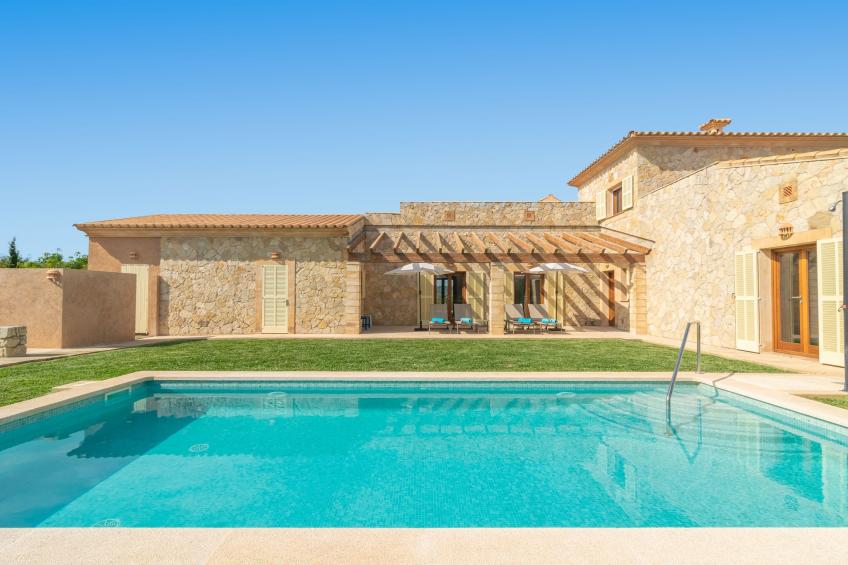 Fetget-can Bosco - foto 7