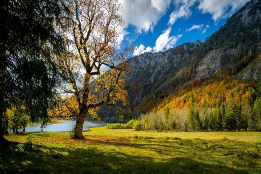 Im Chiemgau - foto 32