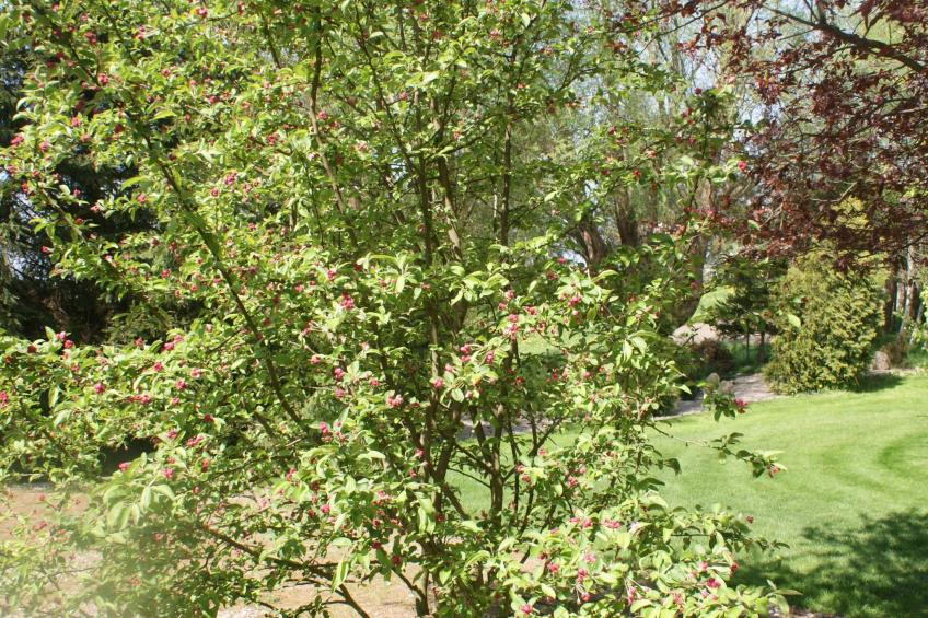 Meeresdorf Stille - Ferienhäuser in den Gärten von Magra - foto 32