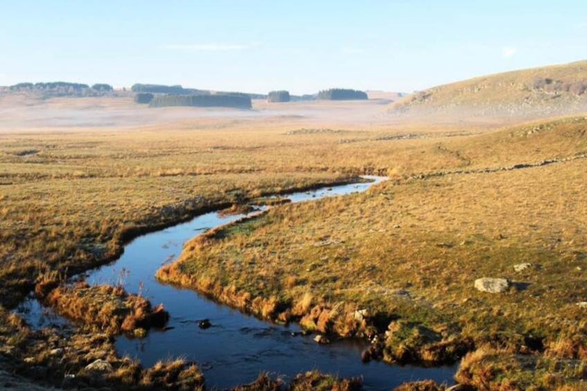 Gîte de France Bon aubrac pour 12 personnes 2 épis - foto 56
