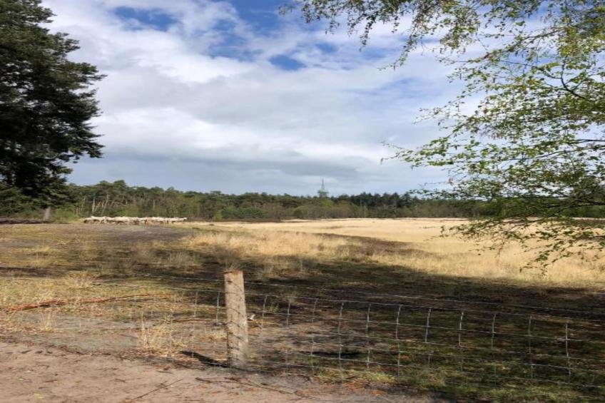 Bospark 't Wolfsven 14 - foto 32