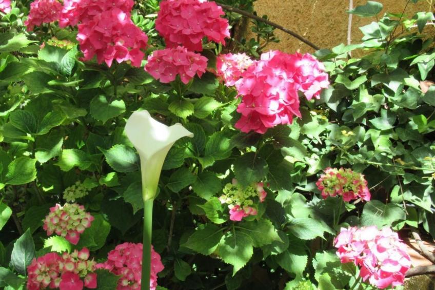 Gemütliches Ferienhaus in Tíjola mit Grill, Garten und Terrasse - foto 17