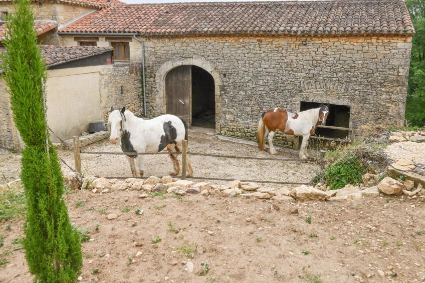 Le Mas dAmour - foto 54