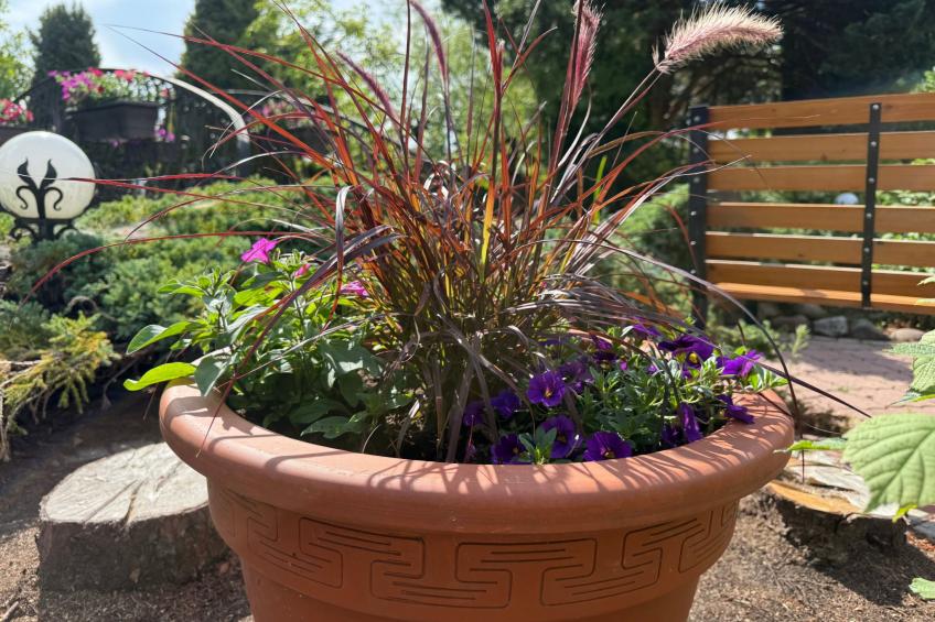 Ferienvilla mit Garten, Grill und Terrasse - foto 15