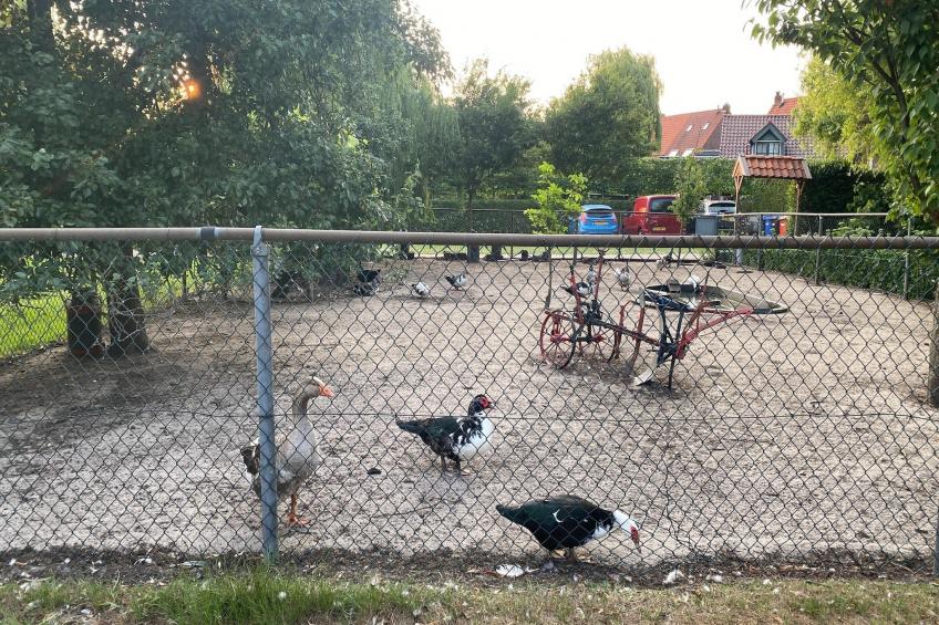 Pipowagen de Weideblick - foto 41