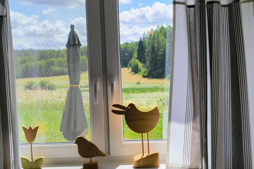 Vogelecke - abseits des Trubels und der Hektik - foto 37