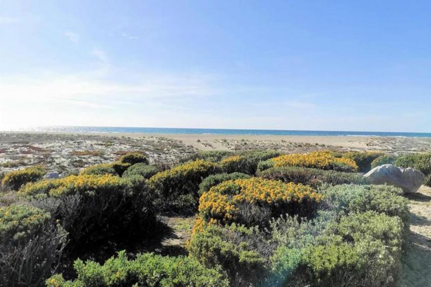 Résidence Maisons De La Mer 1 - foto 38