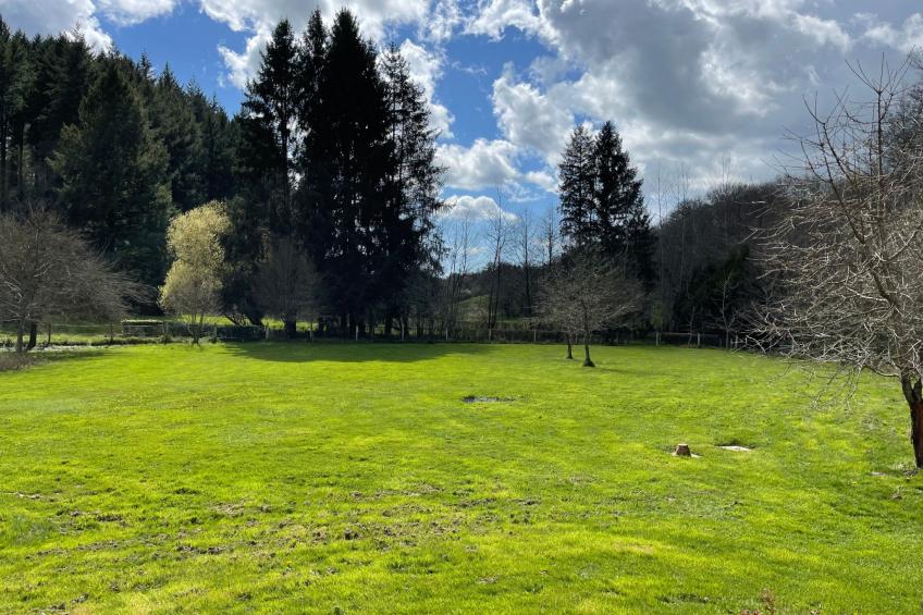 für 6 Pers. mit eigenem Teich - foto 20