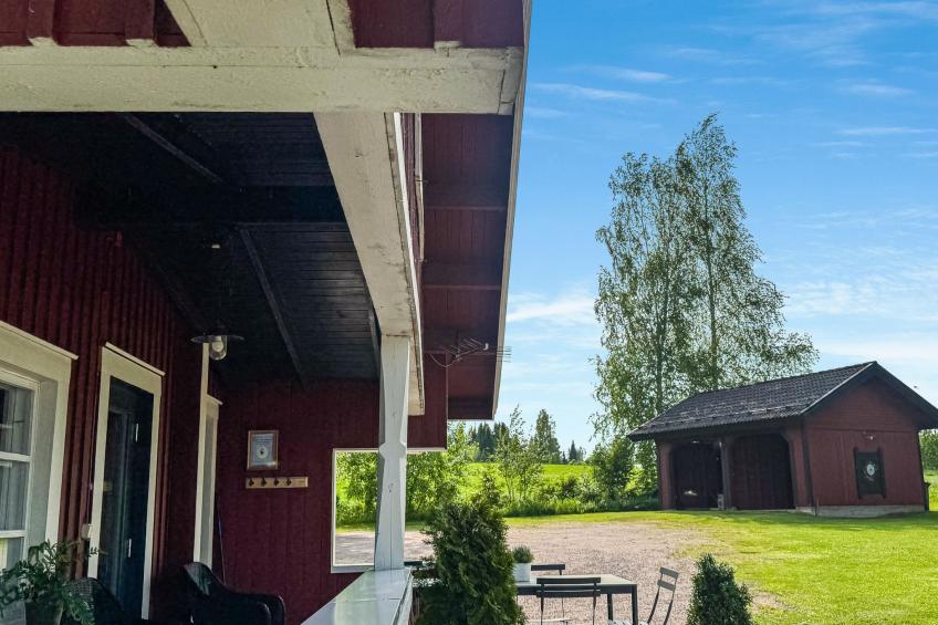 Peltosirkku, seeteri - foto 34