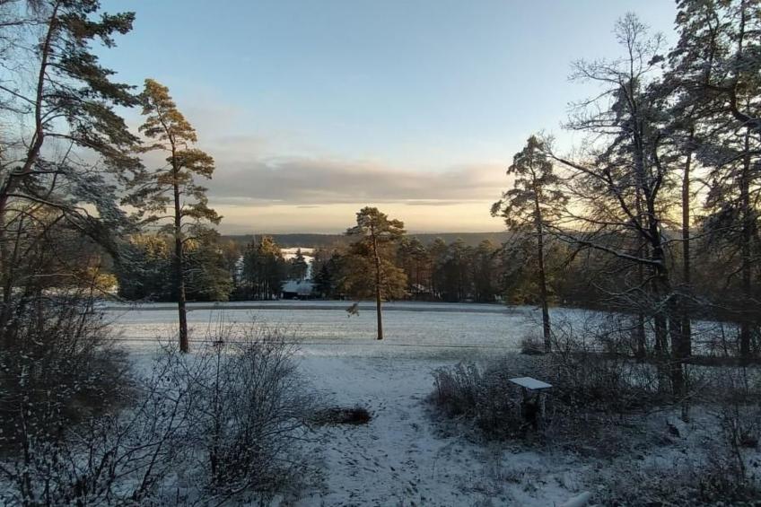 Waldhaus auf Randen - foto 3